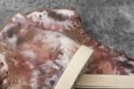 ノーブル レディース ハイトップ キャンバス トレーナー アース - 画像 (4)
